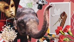 Увидеть слона, посмеяться над комиками, сходить на выставку собак: как ставропольцам провести длинные выходные